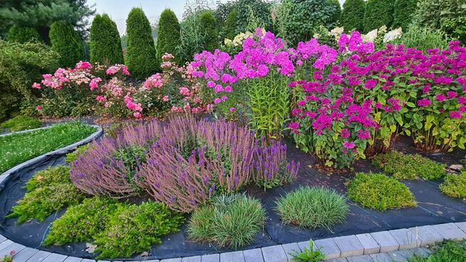 Pielęgnacja ogrodów, ogrodnik - Wielka Wieś , Zielonki