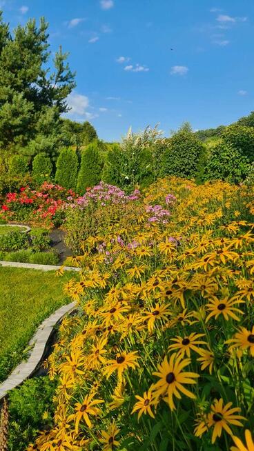 Usługi ogrodnicze Wielka Wieś, Zabierzów, Zielonki, Modlnica