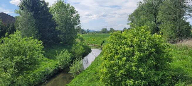 dom na sprzedaż z pięknym ogrodem okazja