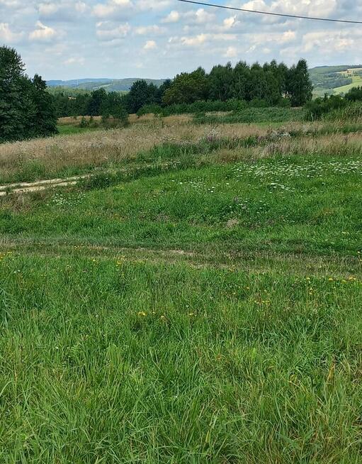 Przepiękna działka widokowa w zaciszu