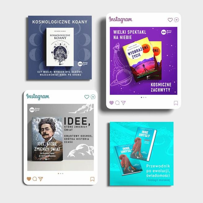 Grafik komputerowy, B2B, Zdalnie