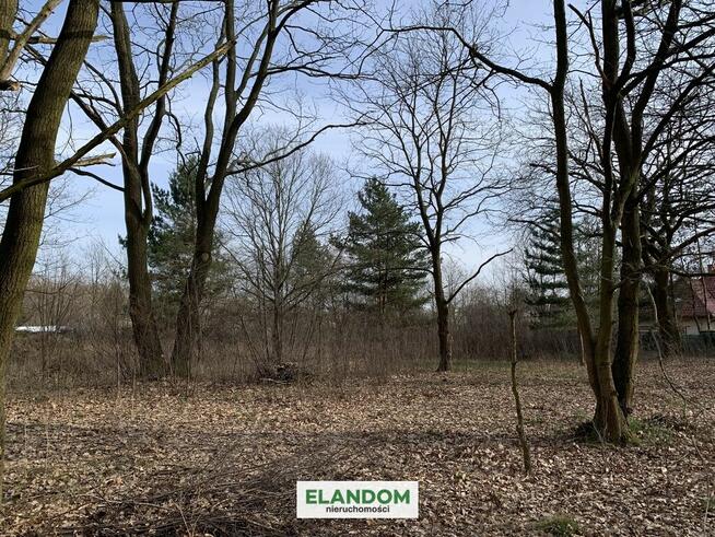 Działki w malowniczym Józefowie