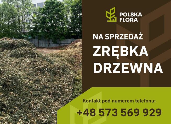 Zrębki drzewne