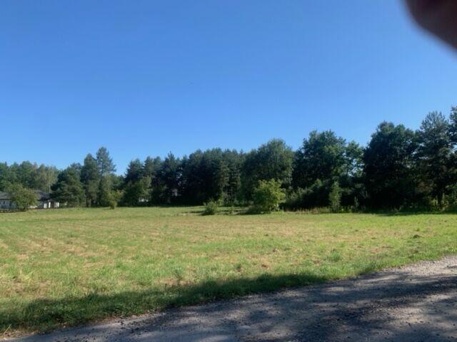 Łąka do wynajęcia