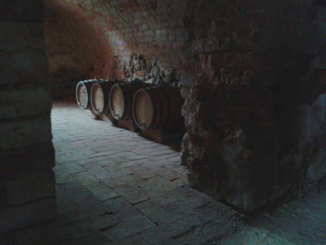 Duży dom pod salę weselną , konferencyjną lub cele mieszkaln