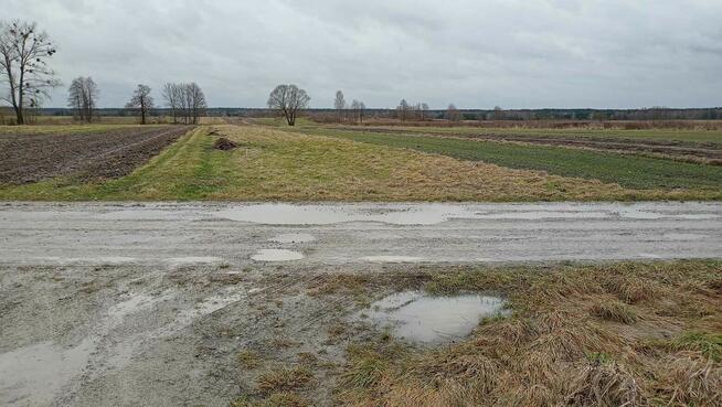 Działka budowlana i pole Aleksandrów lll