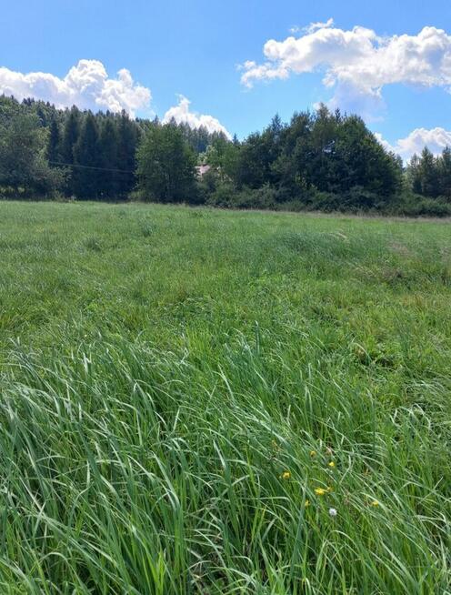 Przepiękna działka widokowa w zaciszu