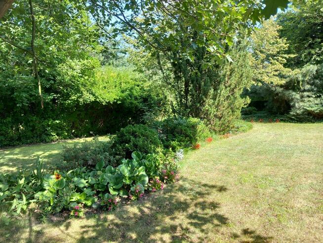 do wynajęcia pokój w domu w Czerwonaku