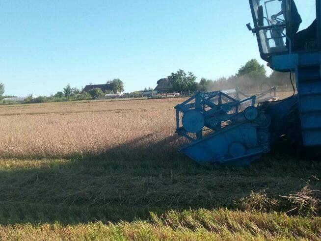 Sprzedam Bizon Rekord mazowieckie Siedlce