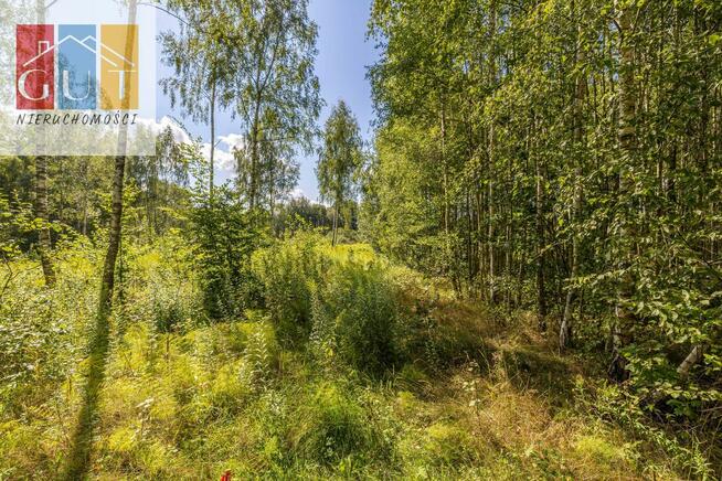 Działka rolno-budowlana Cerkiewnik gm. Dobre Miasto