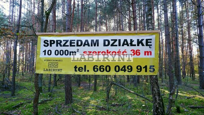 Urokliwa działka leśna nad Wartą, 1 ha, szer. 36m