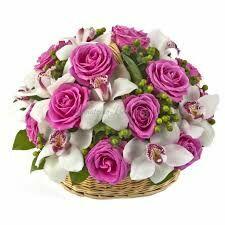 >>>na bezdomności !!>> & Szokujące &co za tupet! >&