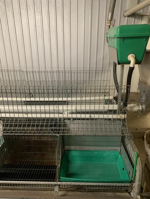 klatki do chowu królików