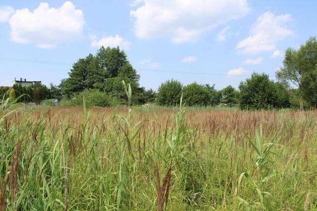 Działka budowlana Piece 10,5 ara