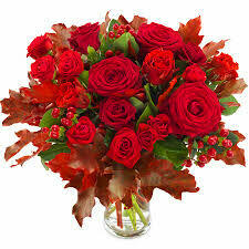 >>>na bezdomności !!>> & Szokujące &co za tupet! >&