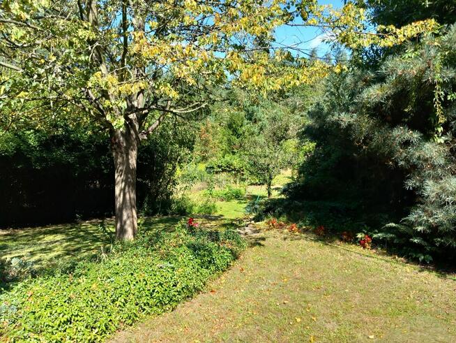 pokój do wynajęcia