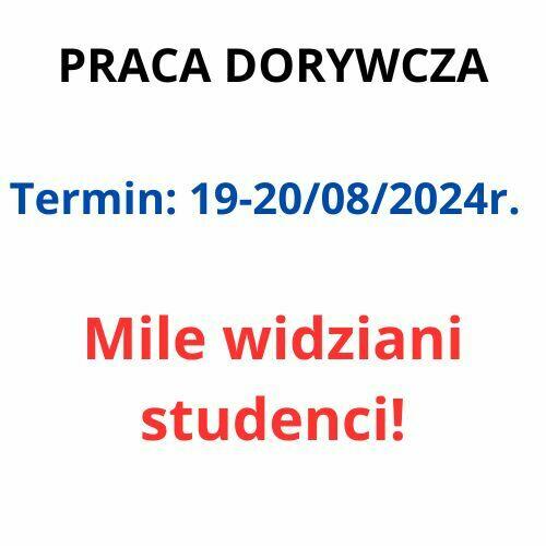 Praca dorywcza, termin 19-20/08/2024, MILE WIDZIANY STUDENT