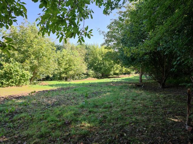 Działka 28 ar Munina (k. Jarosławia) ul. 3 Maja