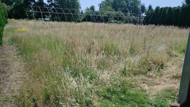 Pielęgnacja/Zakładanie ogrodów, usługi miniładowarką