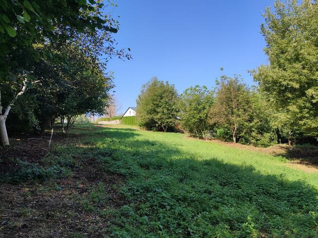 Działka 28 ar Munina (k. Jarosławia) ul. 3 Maja