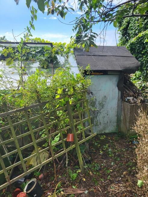 Działka ogrodnicza ROD, ogród, Gdynia