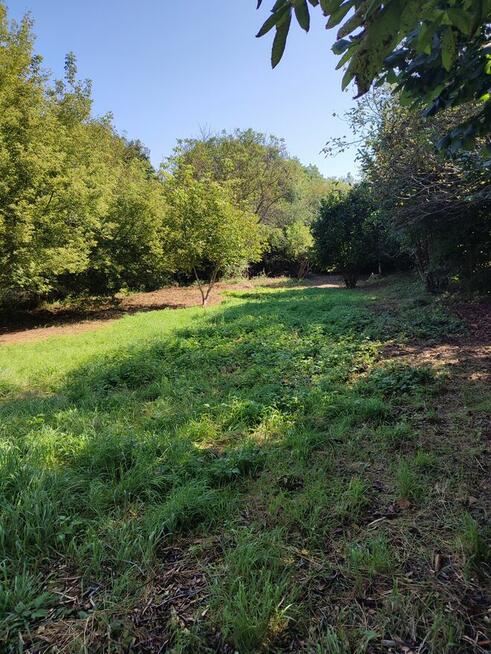 Działka 28 ar Munina (k. Jarosławia) ul. 3 Maja