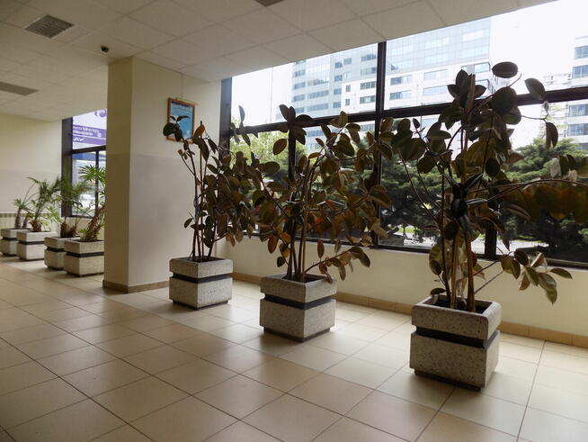 Centrum al. Jana Pawła II, przy rondzie ONZ-dwie linie metra