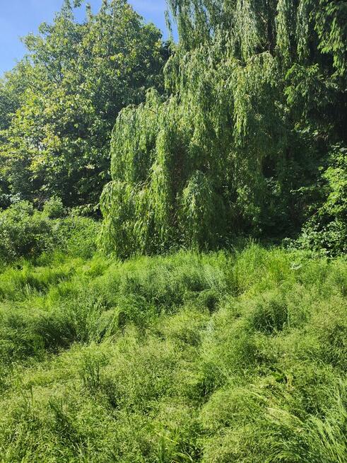 Sprzedam działkę w miejscowości Goźlice gmina Klimontów powi