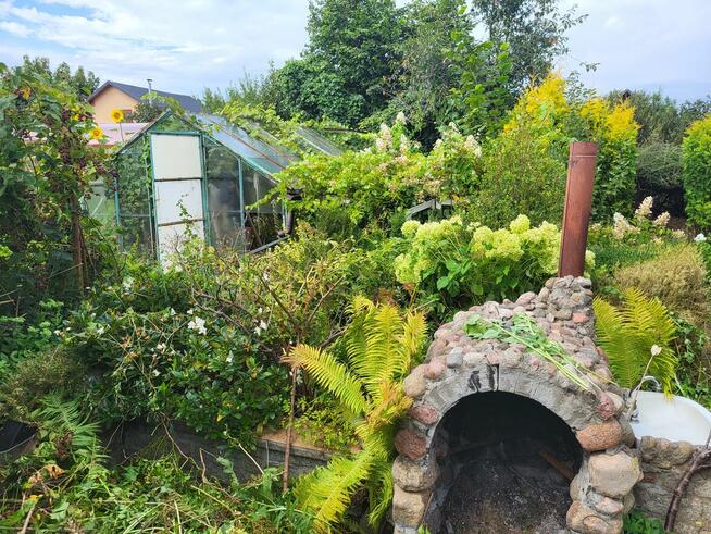 Działka ogrodnicza ROD, ogród, Gdynia