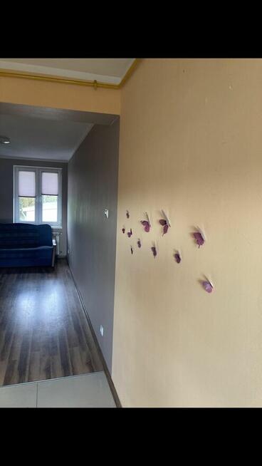 Mieszkanie od zaraz Sosnowiec Milowice