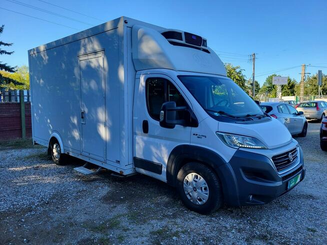 Fiat Ducato Chłodnia 2xkomora/Zasilanie 230V/Salon PL/FV23%/Leasing/Kredyt/Export