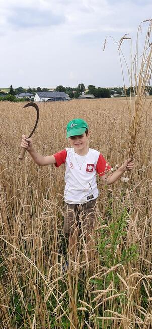 orkisz 30kg w łusce, mąka, ziarno siew