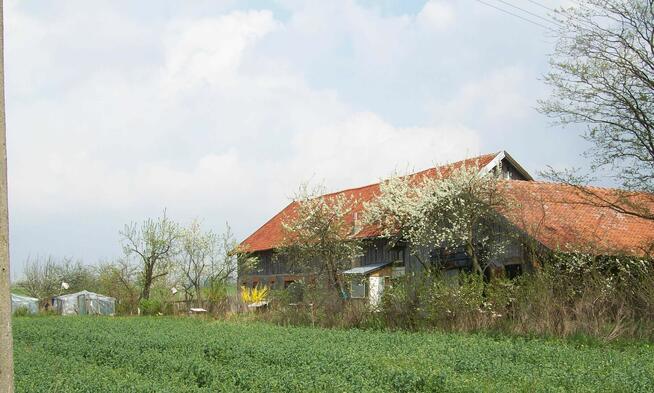 SIEDLISKO WARMIŃSKO-MAZURSKIE