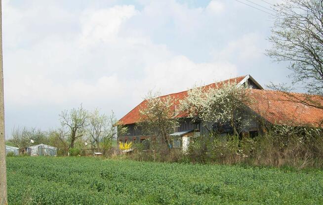 SIEDLISKO WARMIŃSKO-MAZURSKIE