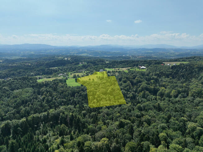 Sprzedam duży dom w górach, z lasem, działka 4,2 ha.