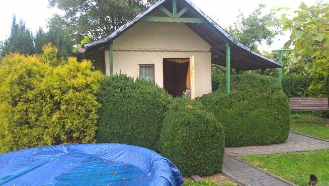 Zaciszna działka rekreacyjana ROD Opole