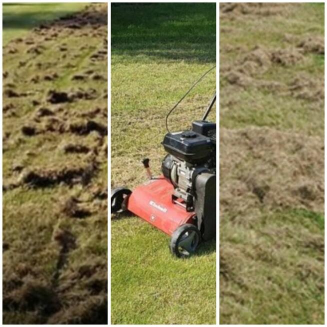 Zakładanie trawnika siew trawy wertykulacja Przytoczno