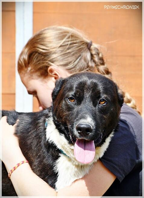 Bartek - czy dom to ciągłe przytulanie, zabawy i spacery?