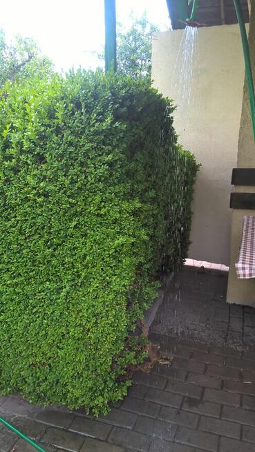 Zaciszna działka rekreacyjana ROD Opole