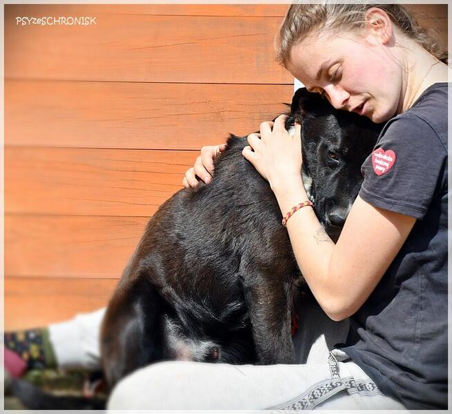 Bartek - czy dom to ciągłe przytulanie, zabawy i spacery?