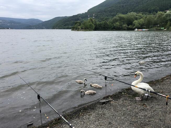 Domek pod górą Żar- promocja