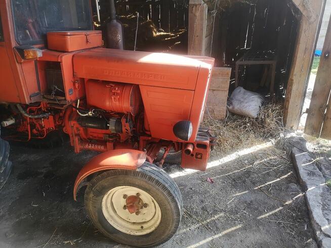 Ciągnik Wladimiriec T25A