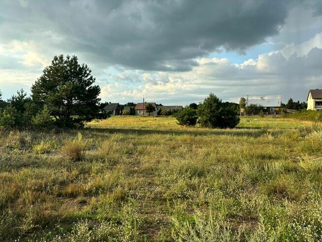 Działki budowlane 6 300 m2, Poniatowo, gm. Małkinia Górna