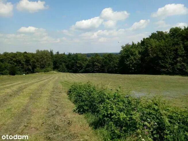 Sprzedam ziemię rolno-budowlaną 1,34 ha