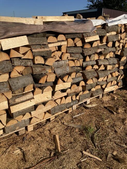 Drewno kominkowe Dąb Buk Olcha Brzoza