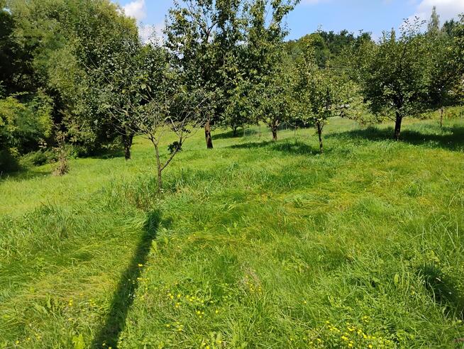Sprzedam działkę BUDOWLANĄ położoną u PODNÓŻA GÓRY ŚW.ANNY