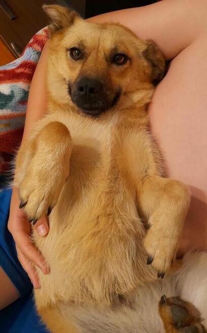 Pilne!!ok 2/3 Kaja pilnie potrzebuje kochającego domu Lunlin