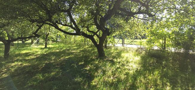 Działka Budowlana (1600 m2) ul. Leśna MEDIA (Wisznia Mała)