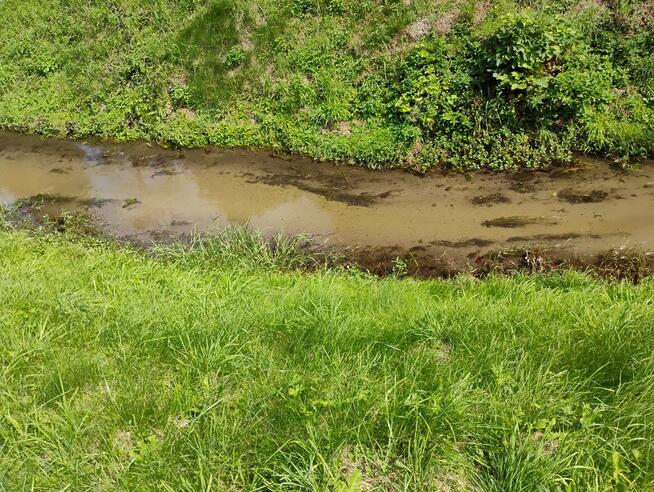 Sprzedam działkę BUDOWLANĄ położoną u PODNÓŻA GÓRY ŚW.ANNY