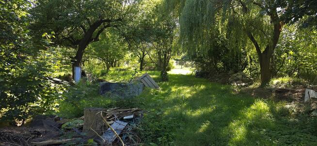 Działka Budowlana (1600 m2) ul. Leśna MEDIA (Wisznia Mała)